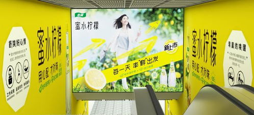零點廣告 武漢地鐵品牌代理與景觀設計的融合，共筑城市流動風景線