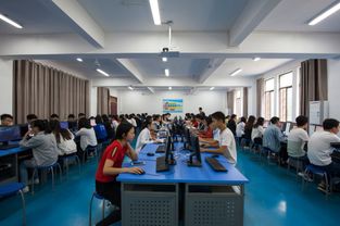 電子商務技術開發 構建現代商業生態的核心引擎